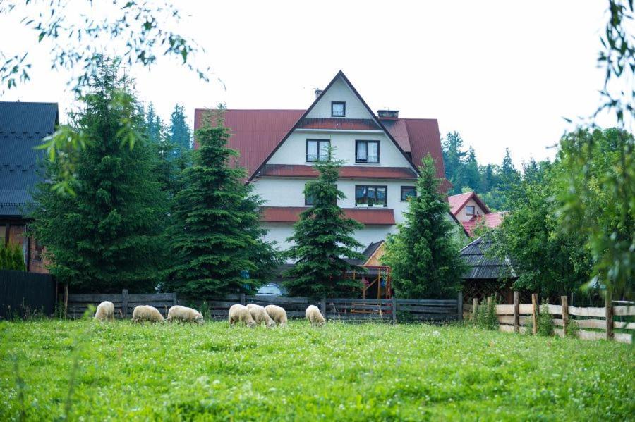 Bed and Breakfast Osrodek Wczasowo-Kolonijny Gron Biały Dunajec Esterno foto